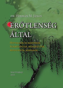 Erotlenseg altal afb.